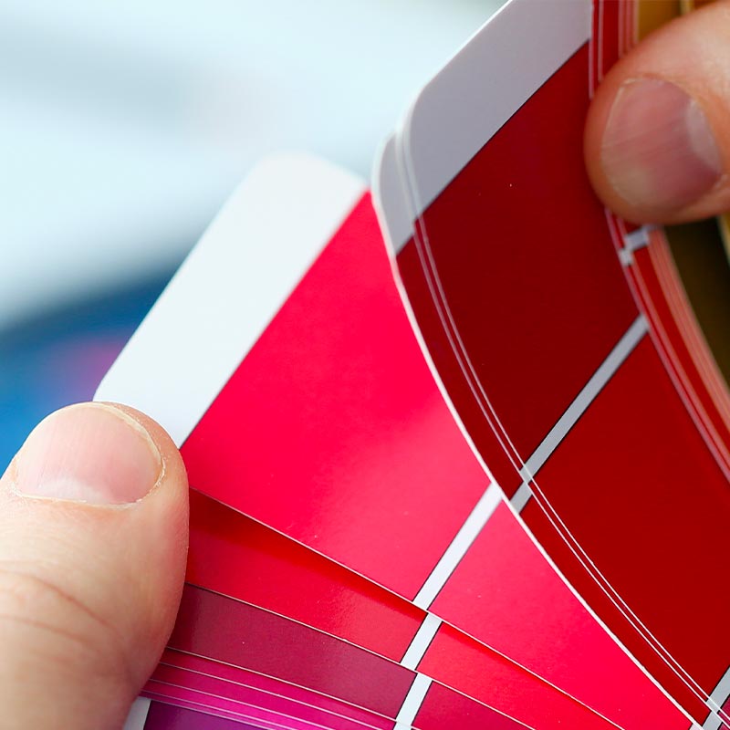 Quels sont les différents fonds d'assurance-vie ?