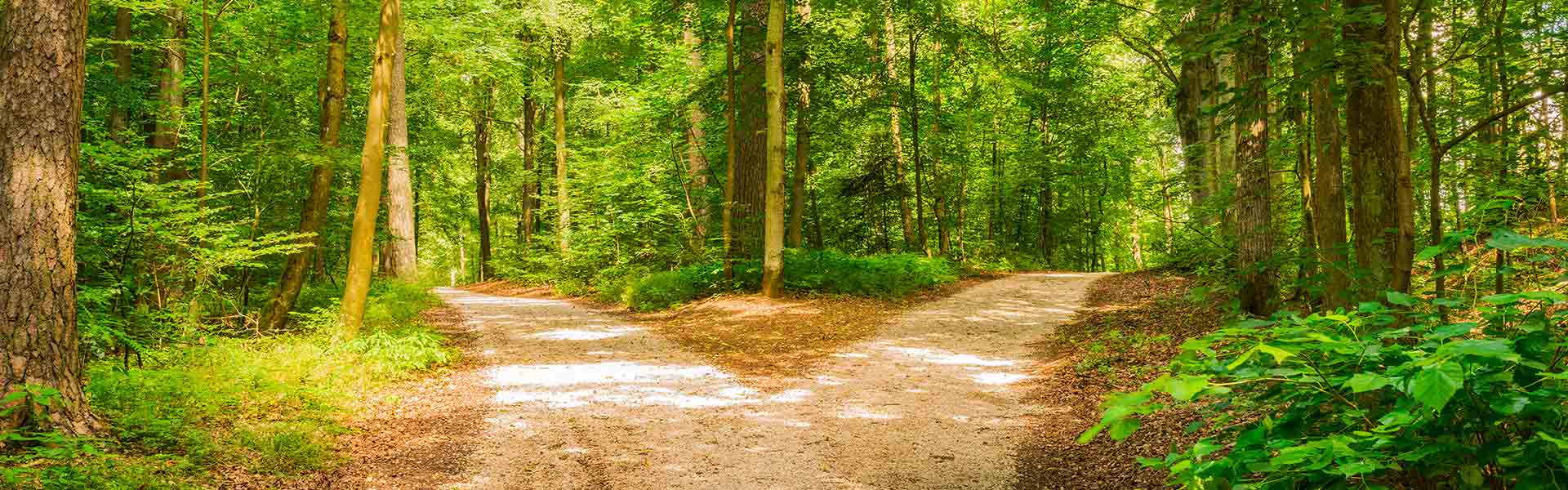 Comment bien choisir son conseiller en gestion de patrimoine ?