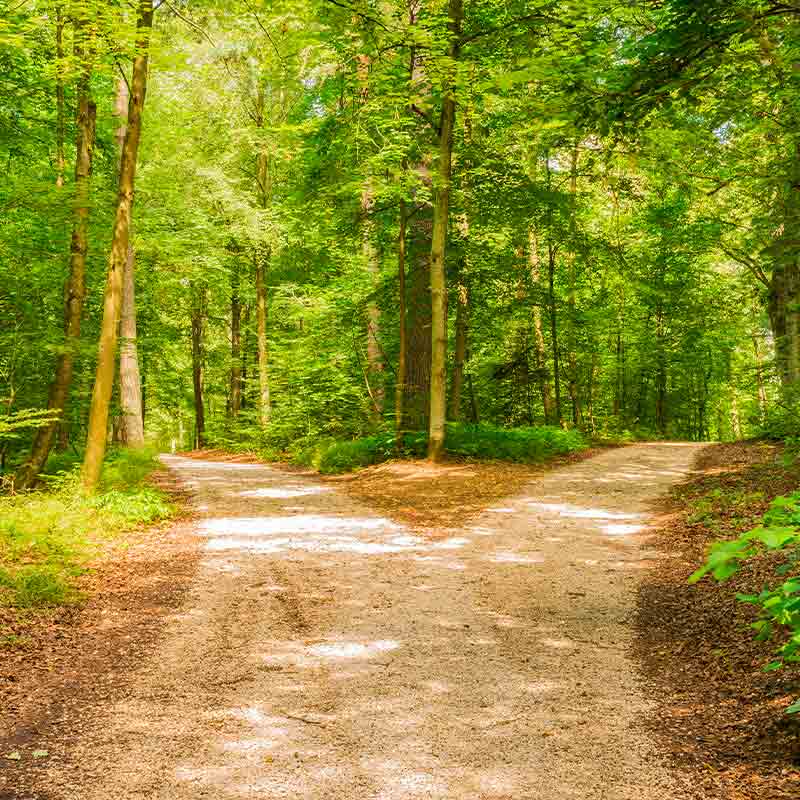 Comment bien choisir son conseiller en gestion de patrimoine ?