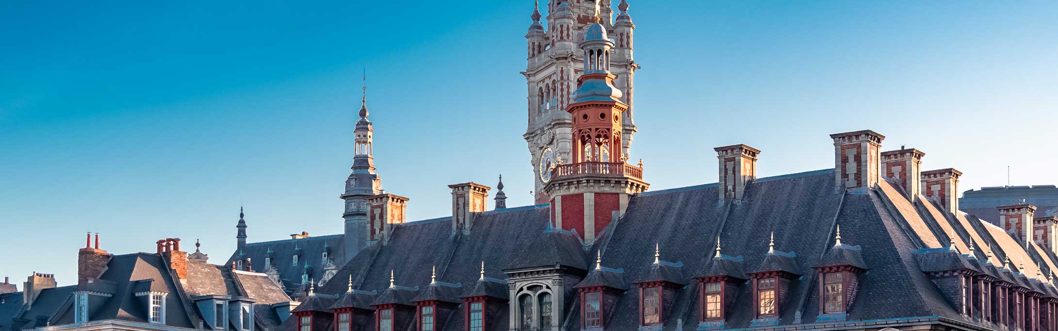 Investissement locatif à Lille : guide complet pour 2024